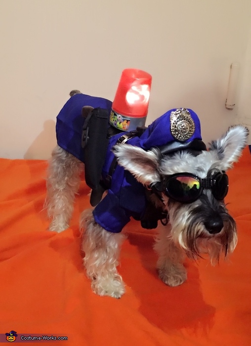 Dog Police Costume