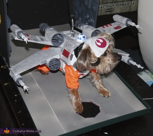 Doggie X-Wing Fighter Costume