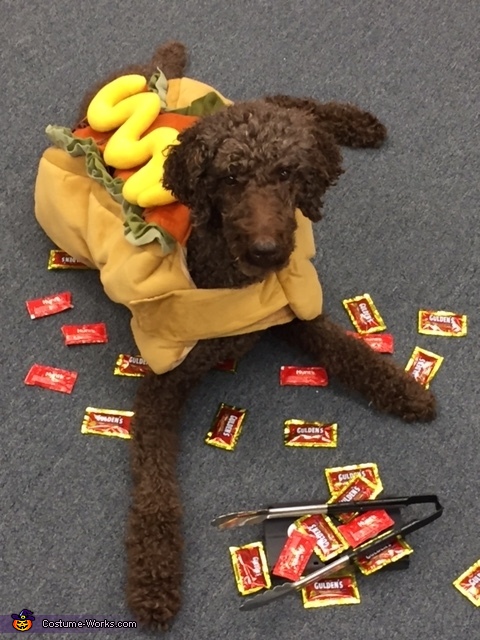 Dog's Delight Costume