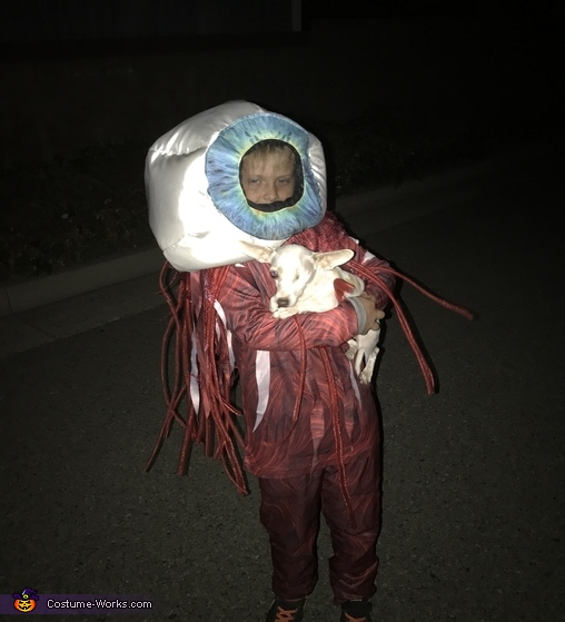 Dog's Eyeball Costume