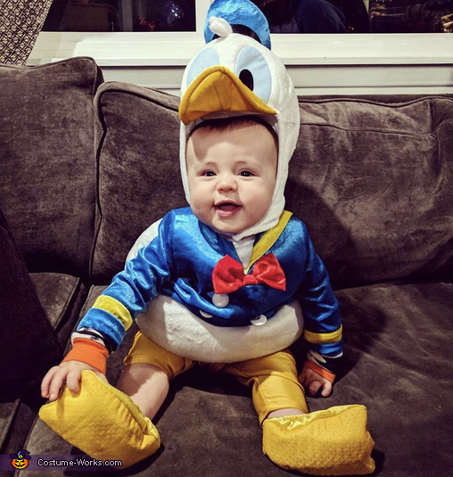 donald duck costume for adults