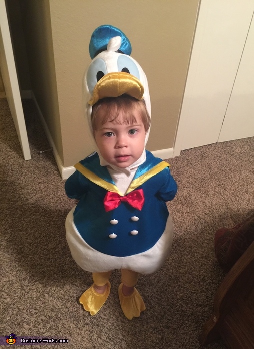 donald duck costume for adults