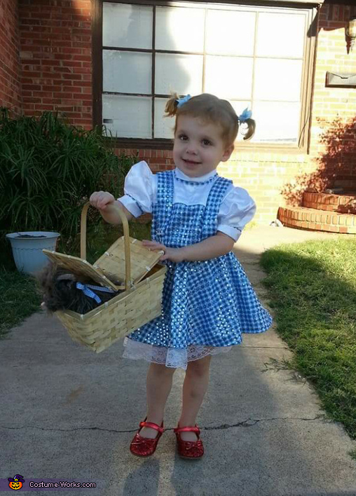 Dorothy Halloween Costume