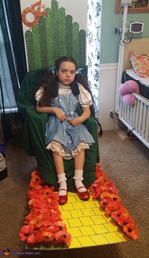 Wizard Of Oz Dorothy Girl S Costume Diy Costumes Under 45