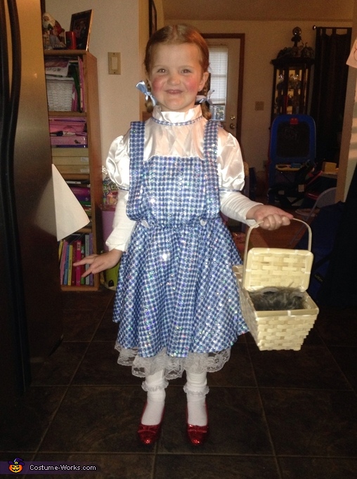Dorothy DIY Halloween Costume | Coolest Halloween Costumes