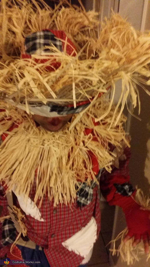 Dorothy and Scarecrow Couple's Halloween Costume | Creative DIY ...