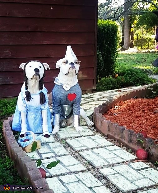 Dorothy and Tin Man Dogs Costume