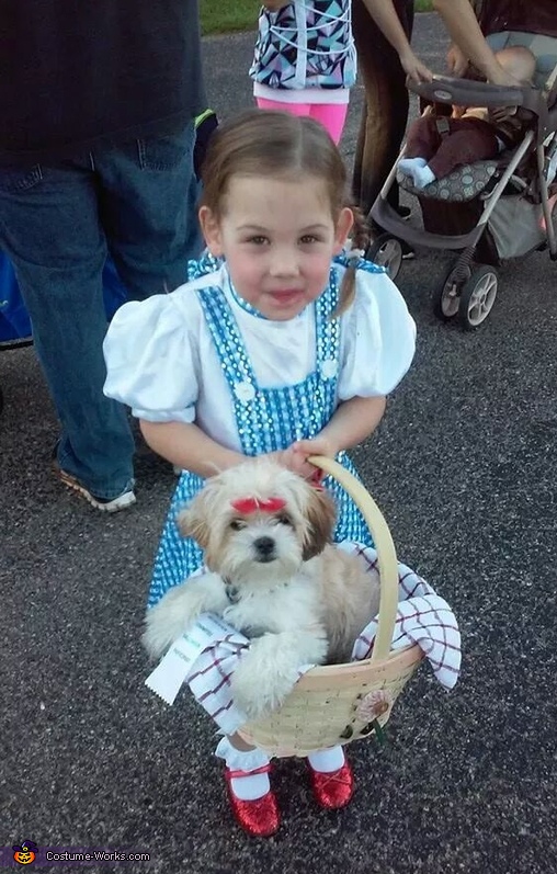 Dorothy and Toto Costume