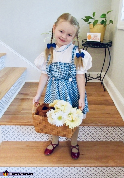 Dorothy from the Wizard of Oz Costume
