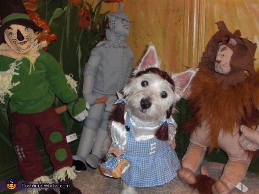Dorothy Gale Dog Costume