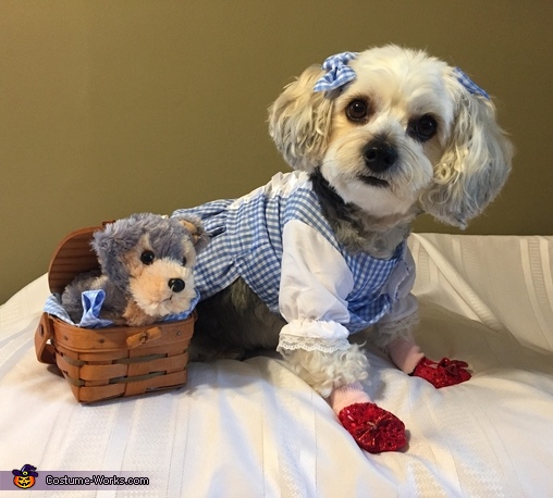 Dorothy & Toto Costume