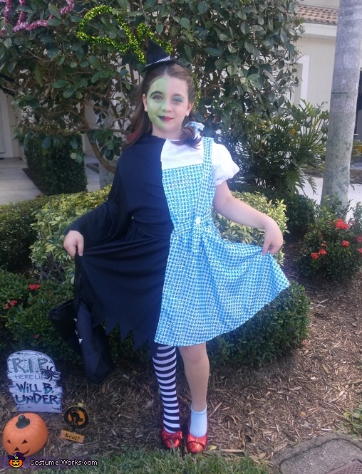 dorothy costume homemade