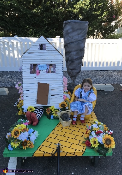 Dorothy - Wizard of Oz Costume