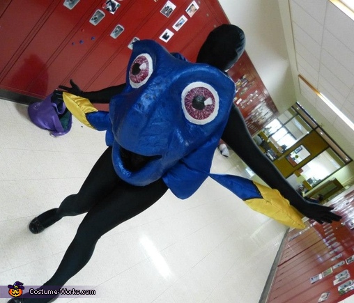 Nemo and Dory costume!  Cute halloween costumes, Halloween