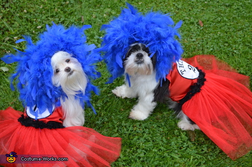 Dr. Seuss Inspired Thing 1 and Thing 2 Costume