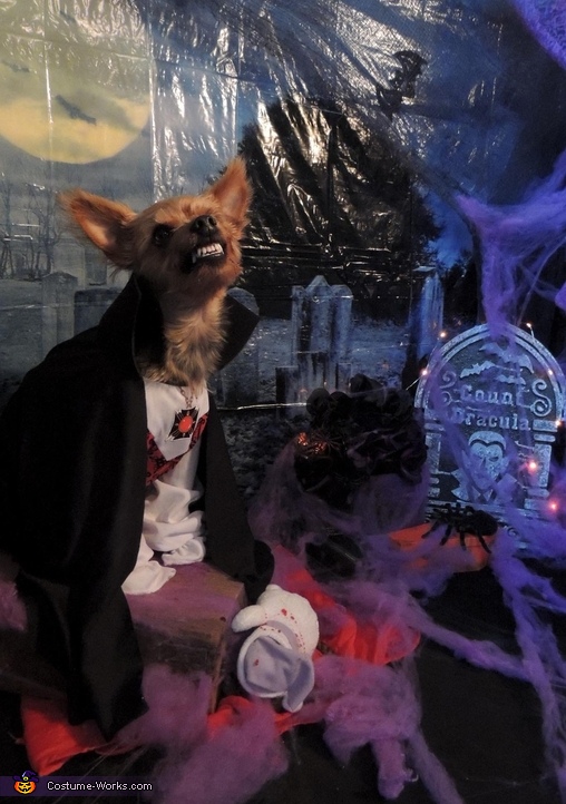 Dracula Dog Costume