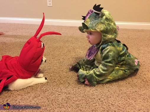 Dragon Baby Costume