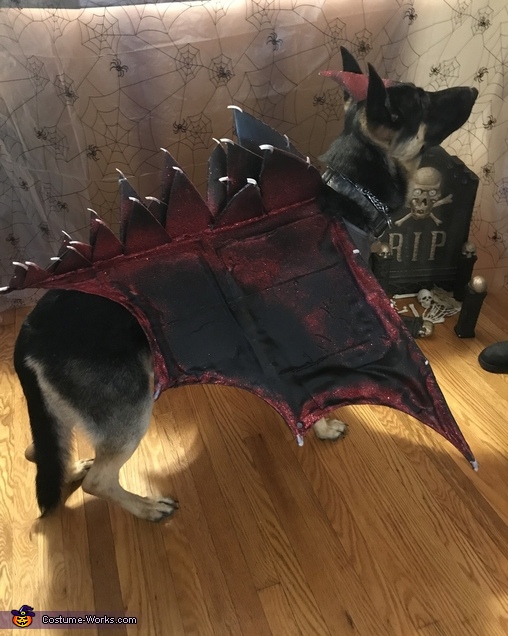 Dragon Dog Costume | DIY Costumes Under $45 - Photo 2/3