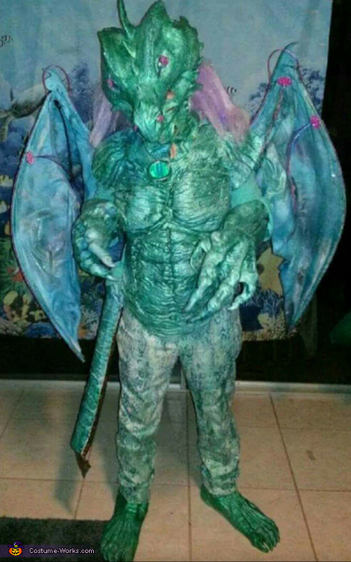 Dragon's Fury Costume