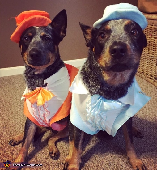Dumb and Dumber Dogs Costume