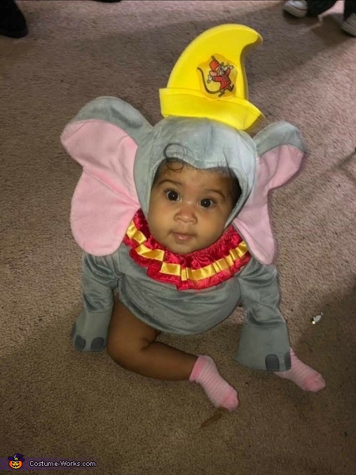 Dumbo Costume