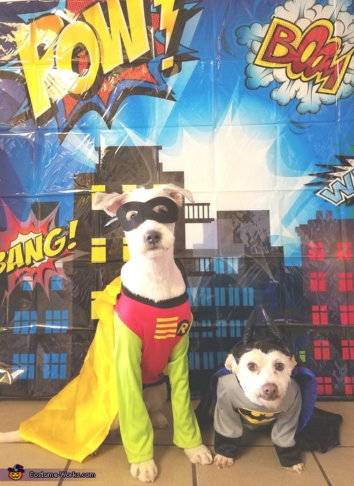 Dynamic Duo Dogs Costume | Coolest Halloween Costumes