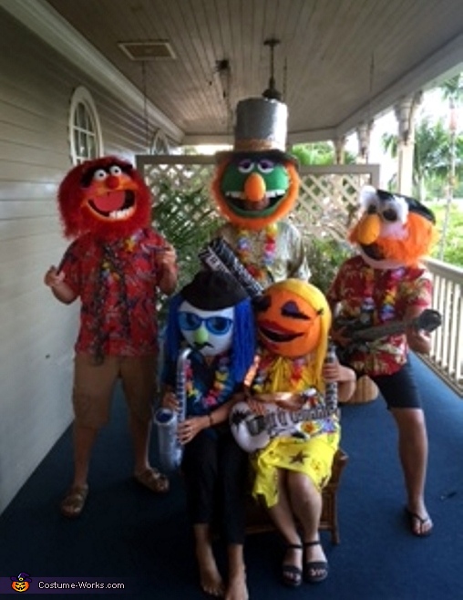 Electric Mayhem Band Costume