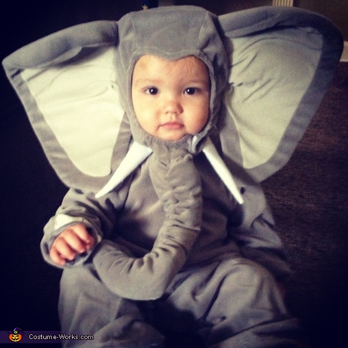 Elephant Baby Costume