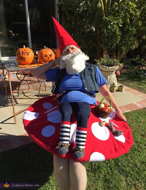 Elias the Gnome Rests on a Mushroom Costume
