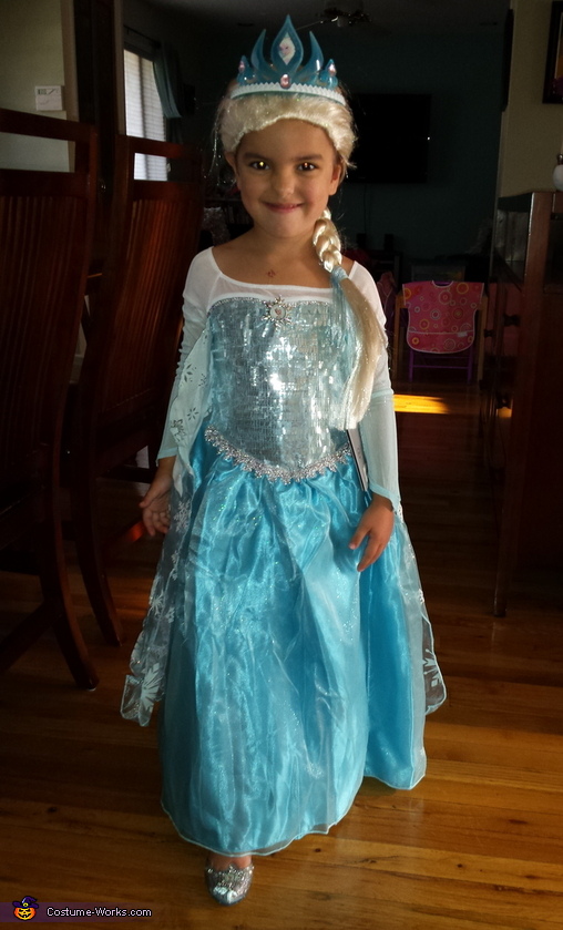 Elsa Costume | Halloween Cosplay Costumes