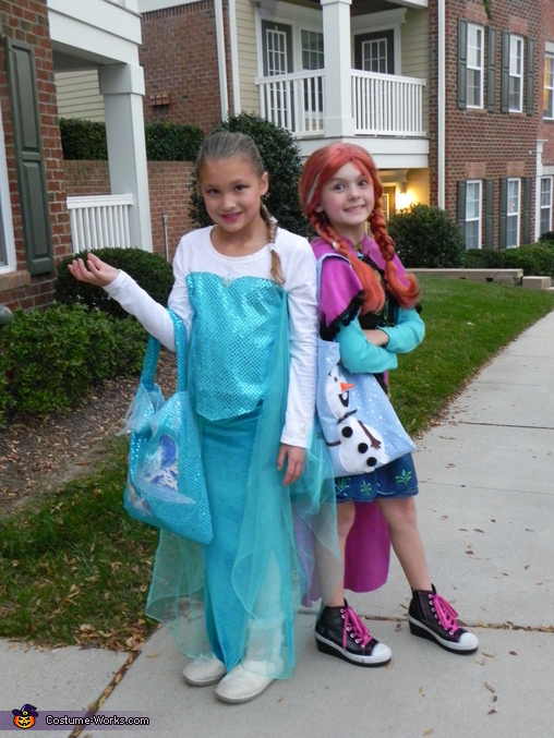 Elsa and Anna from Frozen Costume