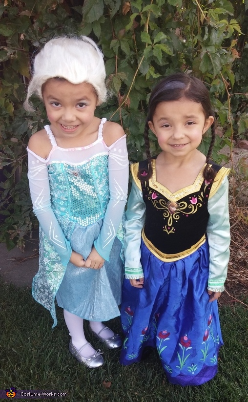 Elsa and Anna Costume