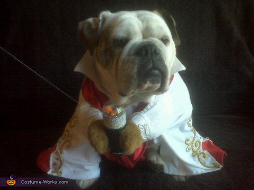 Elvis Dog Costume