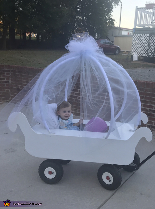 Emily wagon Cinderella Costume | DIY Costumes Under $25