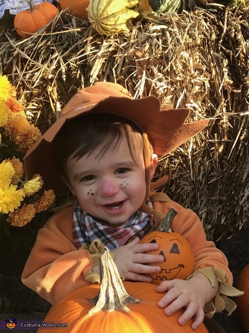 Emmett the Scarecrow Costume