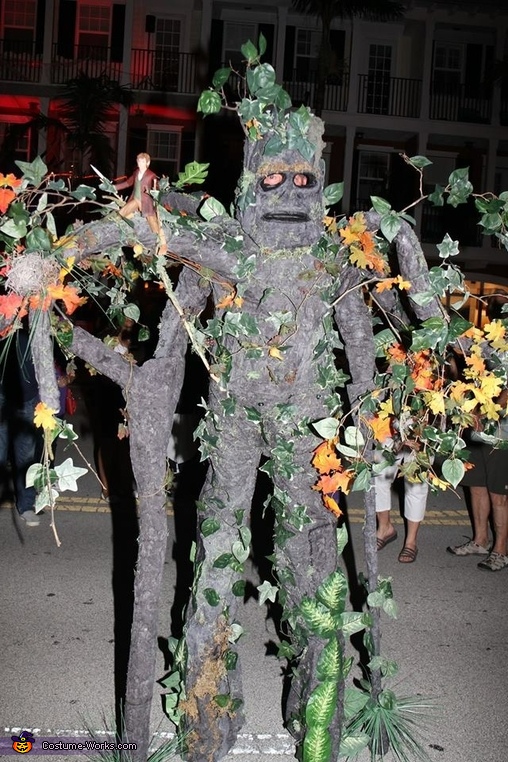 Ent from Lord of the Rings Costume