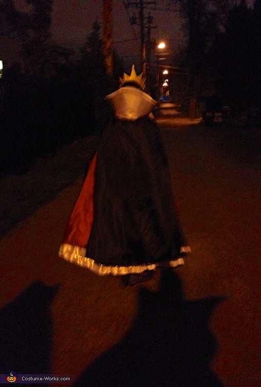 Evil Queen from Snow White Costume