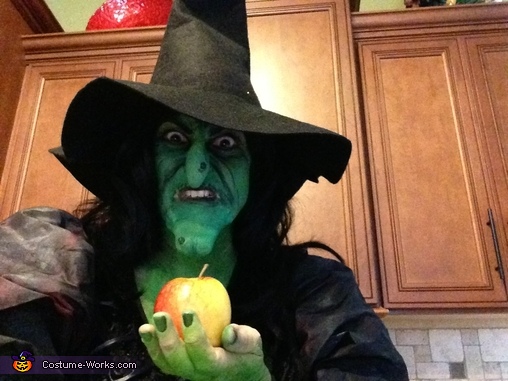 Evil Witch Costume