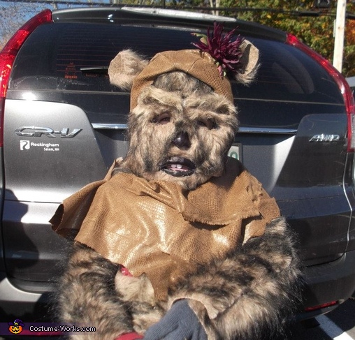 Ewok Costume