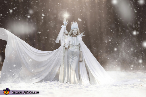 Exquisite Ice Queen Costume
