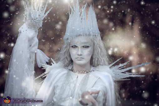 Exquisite Ice Queen Costume - Photo 2/4