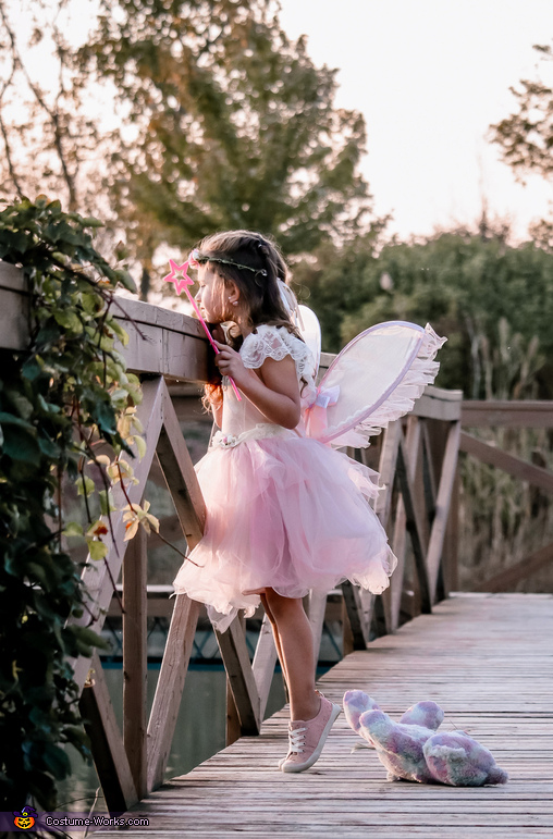 Fairy Costume