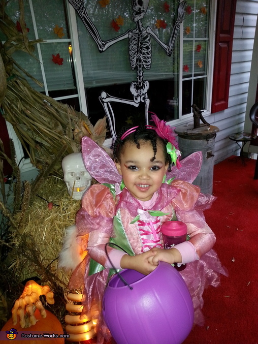 Fairy Princess Lilly Costume