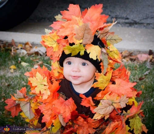 Fall Tree Baby Costume | DIY Costumes Under $35