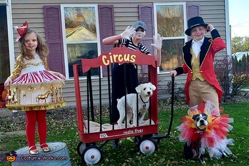 homemade circus costumes