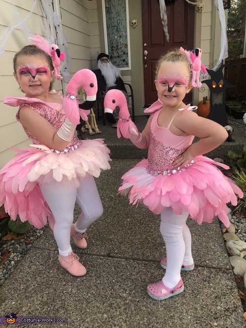 Fancy Flamingos Costume