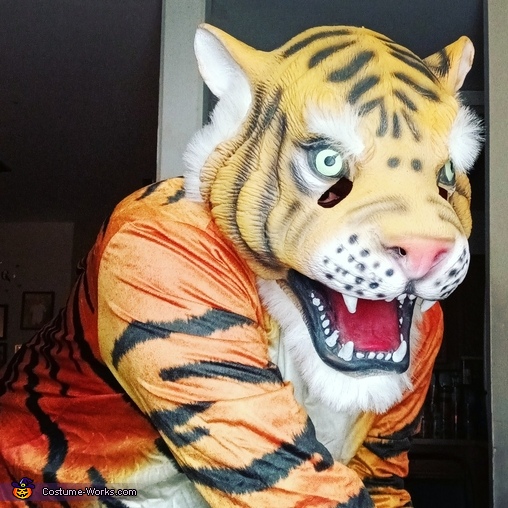 Fearsome Tiger Costume