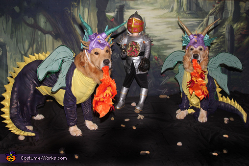 Fire Breathing Dragons Fight a Knight Costume