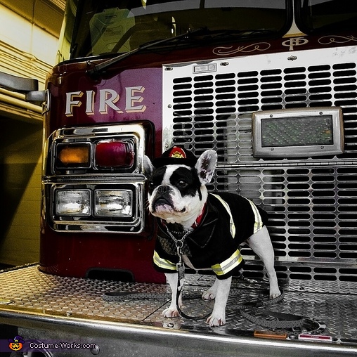 Firefighter Costume