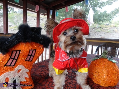 Fireman Dog Costume